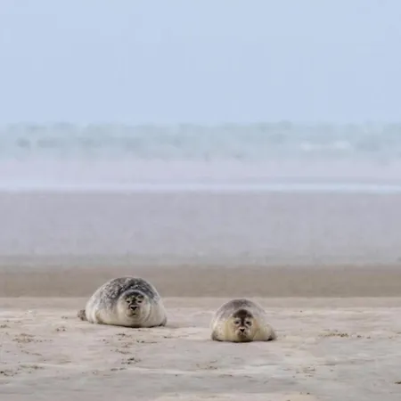 Villavilla 165 - Fano, Sydjylland Сasa de vacaciones